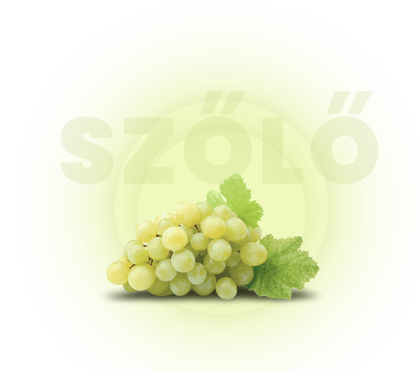 background slider grapes